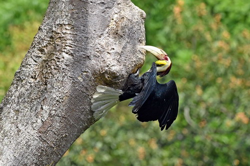 电子游戏app下载安装