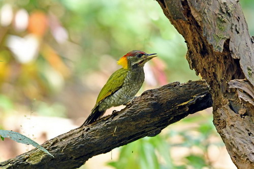 电子游戏app下载安装