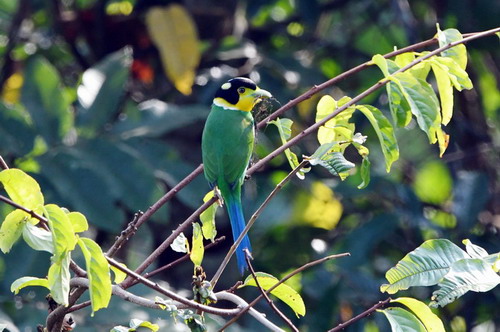 电子游戏app下载安装