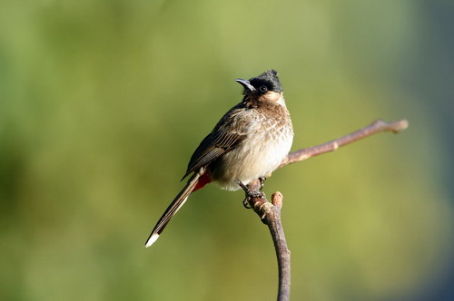 电子游戏app下载安装