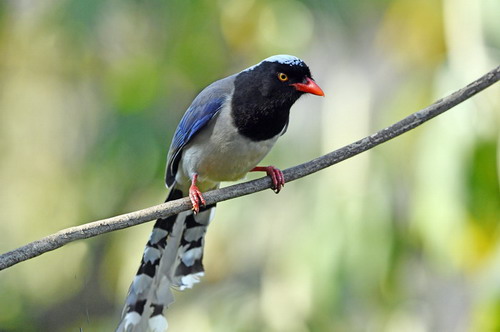 电子游戏app下载安装