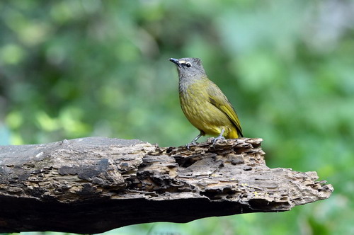 电子游戏app下载安装