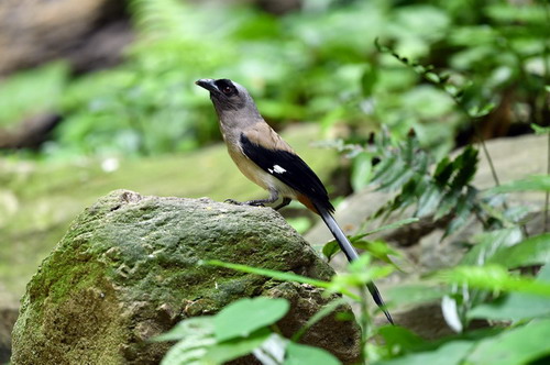 电子游戏app下载安装