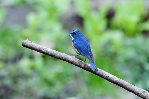 电子游戏app下载安装