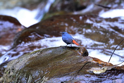 电子游戏app下载安装