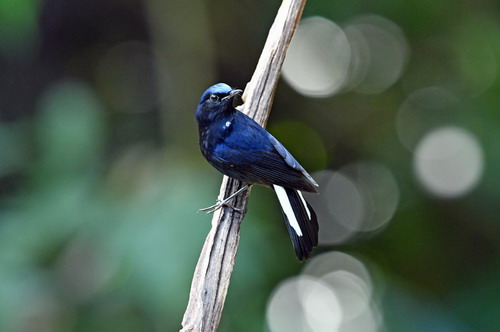 电子游戏app下载安装