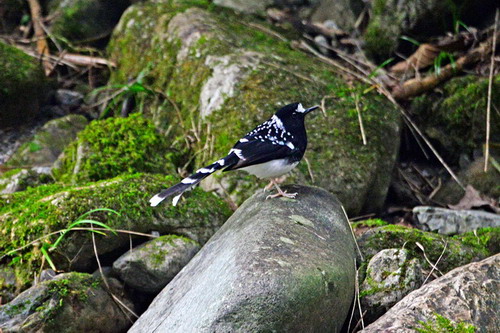 电子游戏app下载安装
