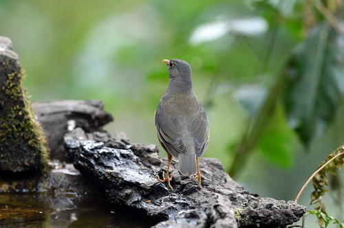 电子游戏app下载安装