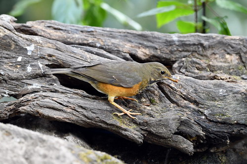 电子游戏app下载安装