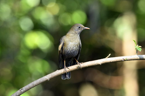 电子游戏app下载安装