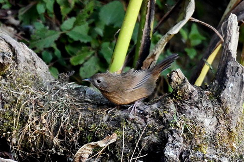 电子游戏app下载安装