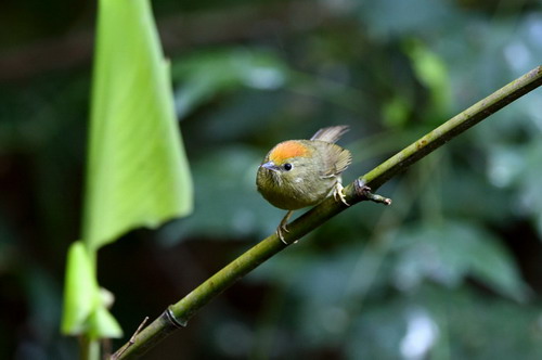 电子游戏app下载安装