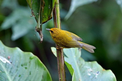 电子游戏app下载安装