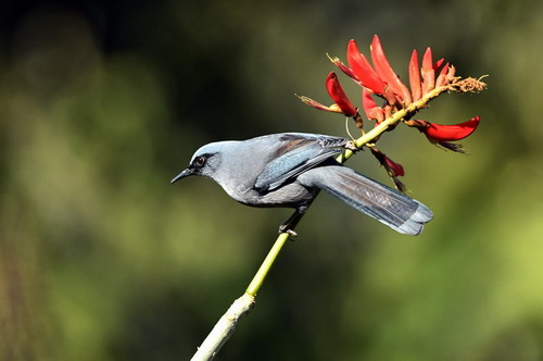 电子游戏app下载安装