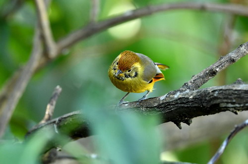 电子游戏app下载安装