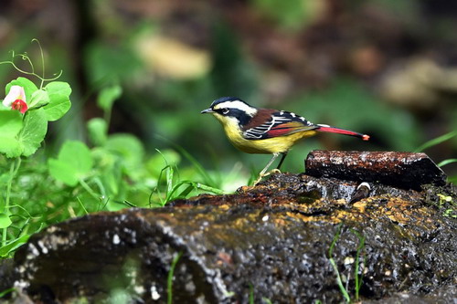 电子游戏app下载安装