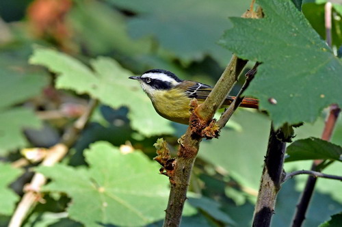 电子游戏app下载安装