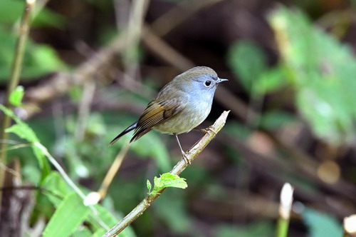 电子游戏app下载安装