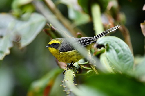 电子游戏app下载安装