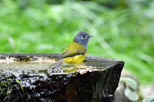 电子游戏app下载安装