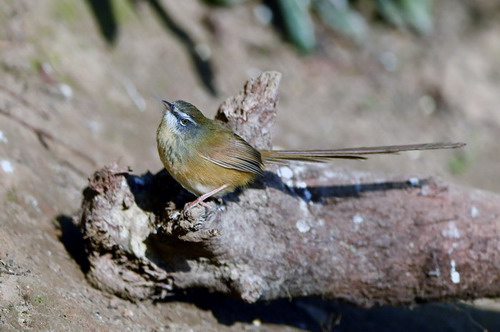 电子游戏app下载安装