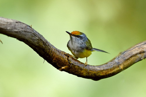 电子游戏app下载安装
