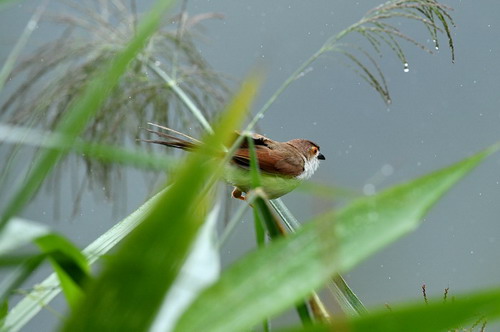 电子游戏app下载安装