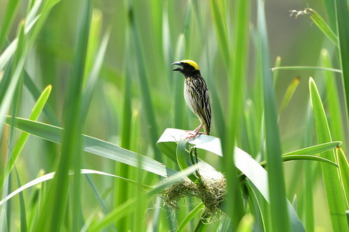 电子游戏app下载安装