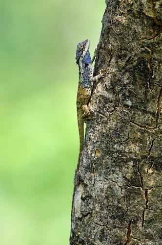 电子游戏app下载安装