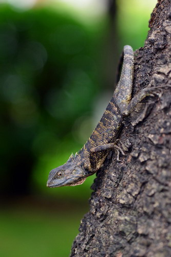 电子游戏app下载安装
