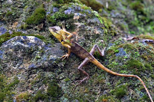 电子游戏app下载安装