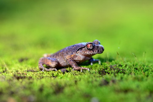 电子游戏app下载安装