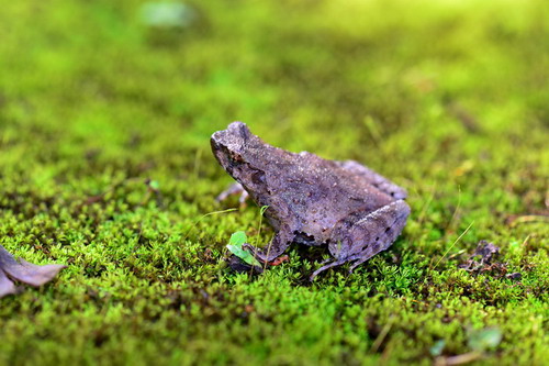 电子游戏app下载安装