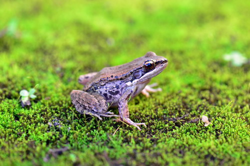 电子游戏app下载安装