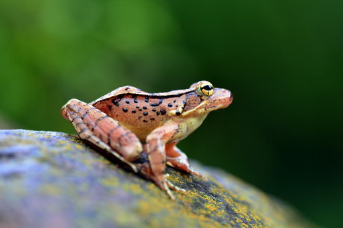 电子游戏app下载安装