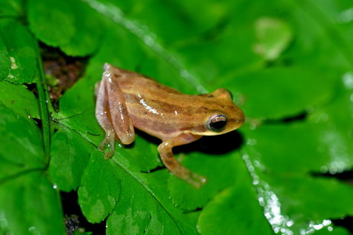 电子游戏app下载安装