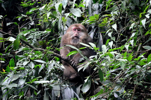 电子游戏app下载安装