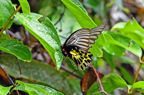 电子游戏app下载安装