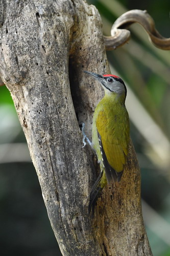 电子游戏app下载安装
