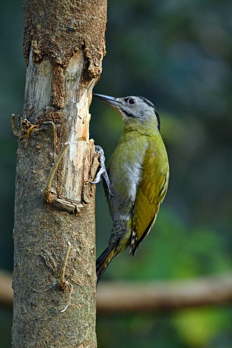 电子游戏app下载安装