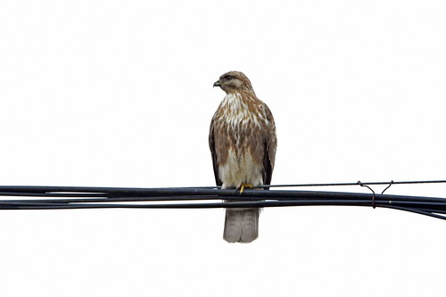 电子游戏app下载安装