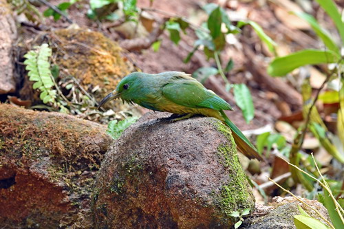 电子游戏app下载安装