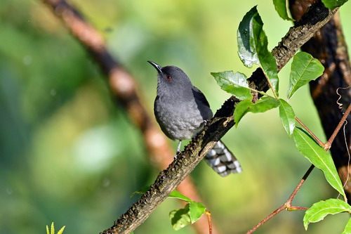 电子游戏app下载安装