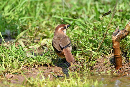 电子游戏app下载安装