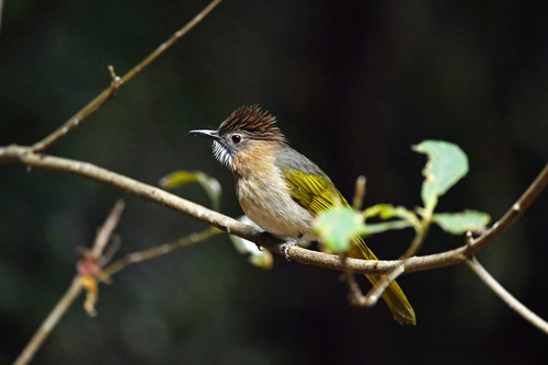 电子游戏app下载安装