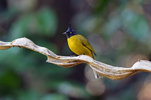 电子游戏app下载安装