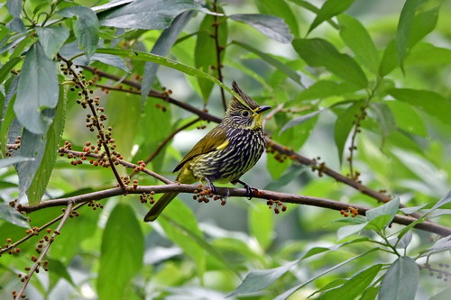 电子游戏app下载安装