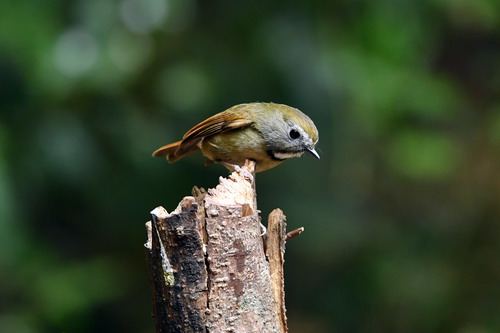 电子游戏app下载安装