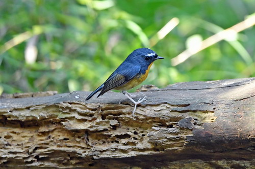 电子游戏app下载安装