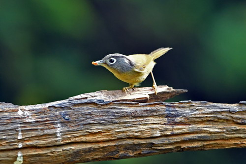 电子游戏app下载安装